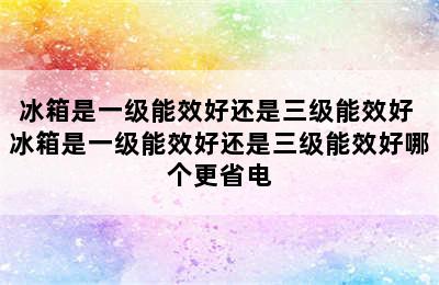 冰箱是一级能效好还是三级能效好 冰箱是一级能效好还是三级能效好哪个更省电